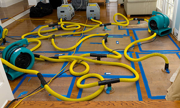 Professional Burst Pipe Water Damage technician working in Slippery Rock, PA